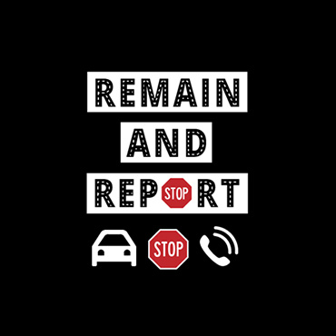 remain-report